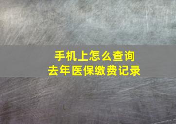 手机上怎么查询去年医保缴费记录