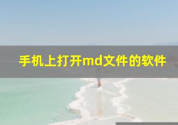 手机上打开md文件的软件