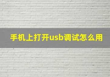 手机上打开usb调试怎么用