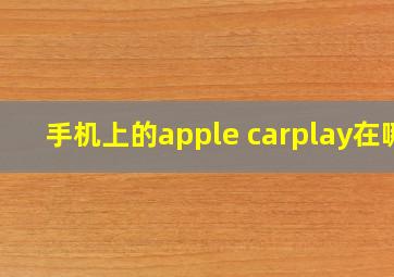 手机上的apple carplay在哪