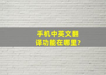 手机中英文翻译功能在哪里?