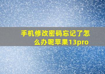 手机修改密码忘记了怎么办呢苹果13pro