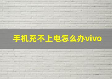 手机充不上电怎么办vivo