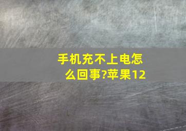 手机充不上电怎么回事?苹果12