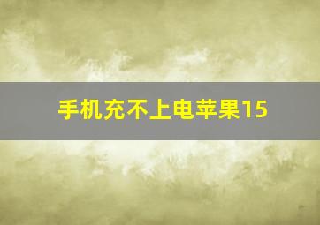 手机充不上电苹果15