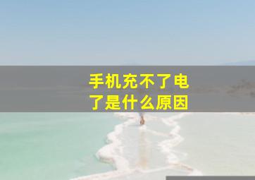 手机充不了电了是什么原因