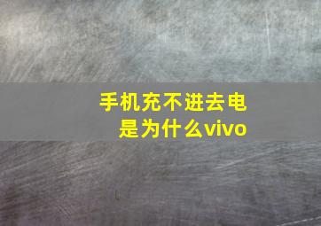 手机充不进去电是为什么vivo