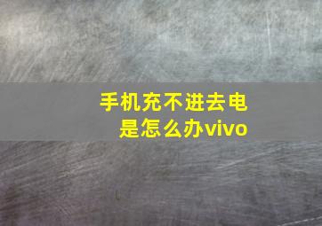 手机充不进去电是怎么办vivo