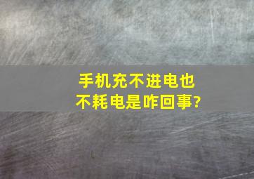 手机充不进电也不耗电是咋回事?