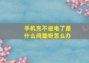 手机充不进电了是什么问题呀怎么办