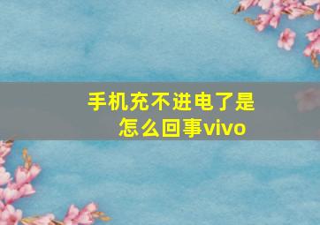 手机充不进电了是怎么回事vivo