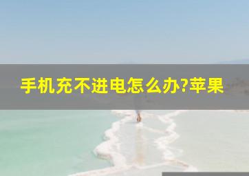 手机充不进电怎么办?苹果