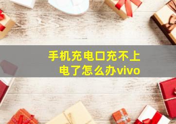 手机充电口充不上电了怎么办vivo