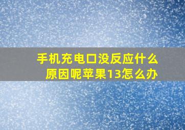 手机充电口没反应什么原因呢苹果13怎么办