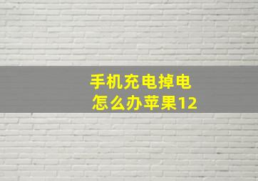 手机充电掉电怎么办苹果12