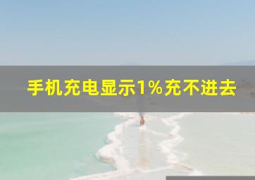 手机充电显示1%充不进去