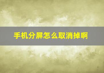 手机分屏怎么取消掉啊