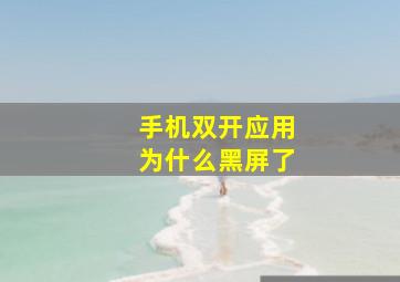 手机双开应用为什么黑屏了