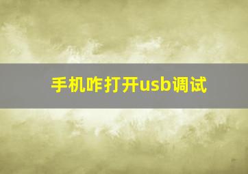 手机咋打开usb调试