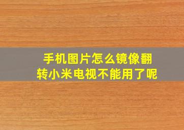 手机图片怎么镜像翻转小米电视不能用了呢