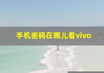 手机密码在哪儿看vivo