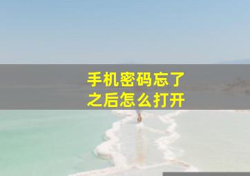 手机密码忘了之后怎么打开