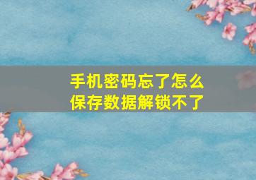 手机密码忘了怎么保存数据解锁不了