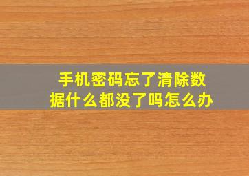 手机密码忘了清除数据什么都没了吗怎么办