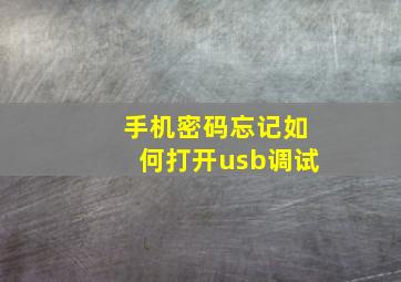 手机密码忘记如何打开usb调试