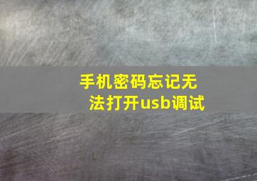 手机密码忘记无法打开usb调试