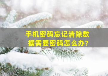 手机密码忘记清除数据需要密码怎么办?