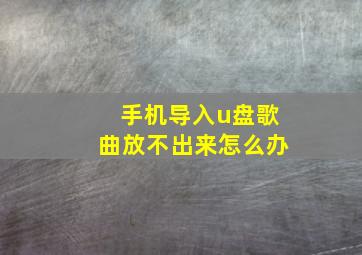 手机导入u盘歌曲放不出来怎么办