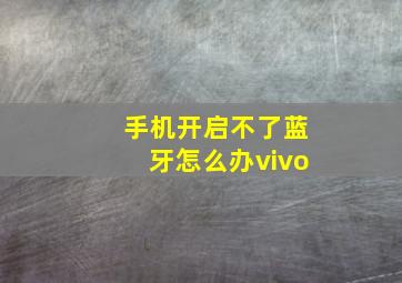 手机开启不了蓝牙怎么办vivo