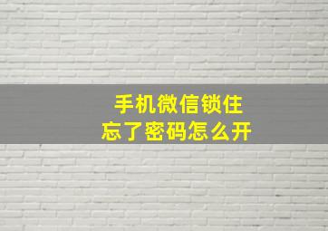 手机微信锁住忘了密码怎么开