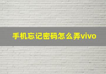 手机忘记密码怎么弄vivo