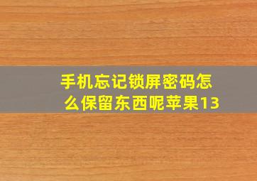 手机忘记锁屏密码怎么保留东西呢苹果13