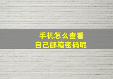 手机怎么查看自己邮箱密码呢