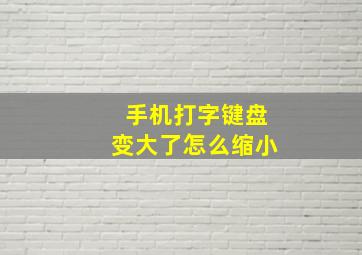 手机打字键盘变大了怎么缩小