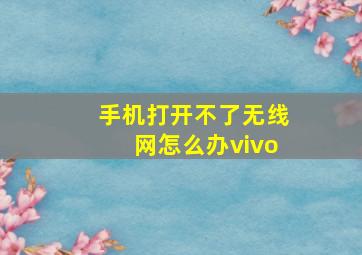 手机打开不了无线网怎么办vivo