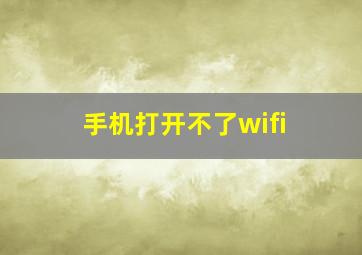 手机打开不了wifi