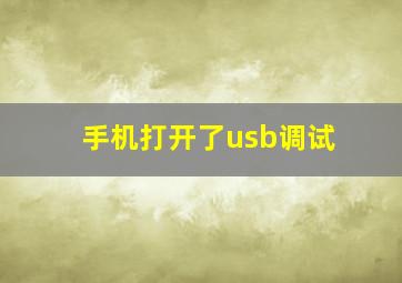 手机打开了usb调试