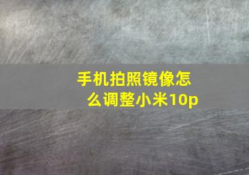 手机拍照镜像怎么调整小米10p