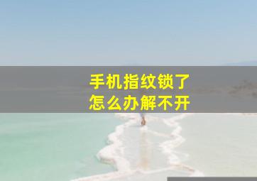 手机指纹锁了怎么办解不开