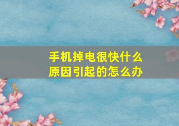 手机掉电很快什么原因引起的怎么办