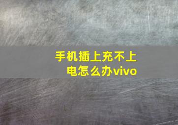 手机插上充不上电怎么办vivo