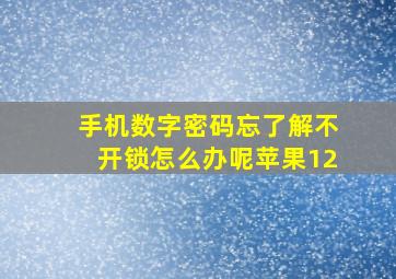 手机数字密码忘了解不开锁怎么办呢苹果12