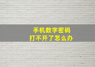 手机数字密码打不开了怎么办