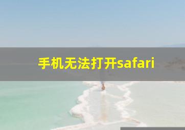 手机无法打开safari