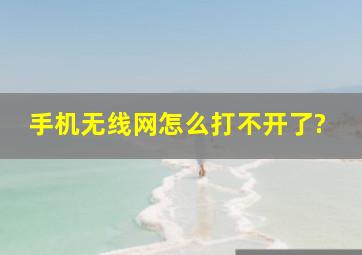 手机无线网怎么打不开了?