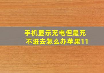 手机显示充电但是充不进去怎么办苹果11